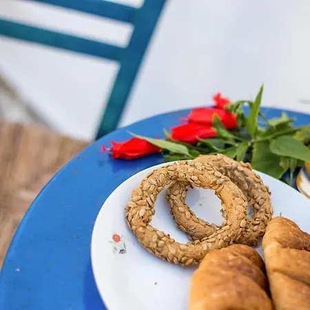 Traditional Luxury House 公寓 Kalithies